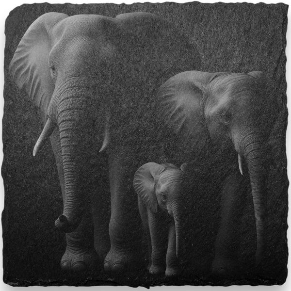 Elephants on Slate Coaster