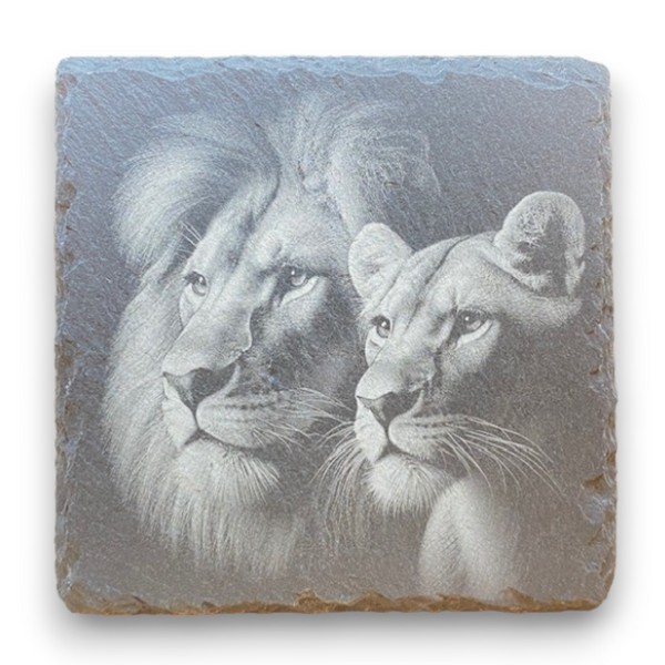 Lions on Slate Coaster