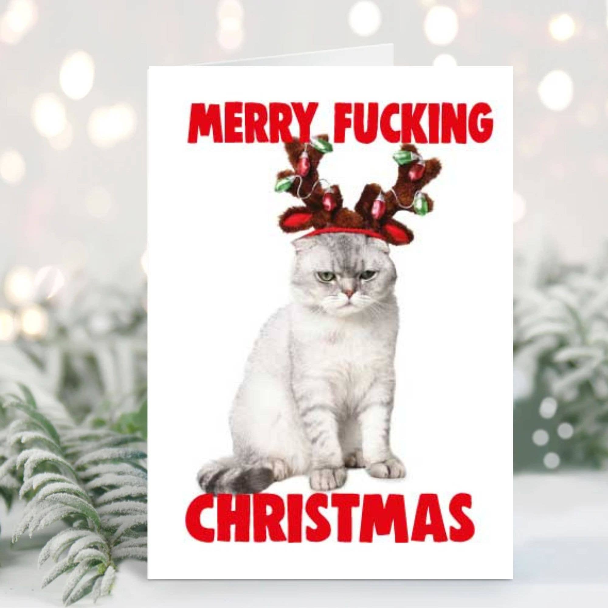 Christmas Card -  Merry F'king Xmas XM361