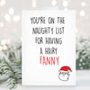 Christmas Card - Hairy Fanny XM21